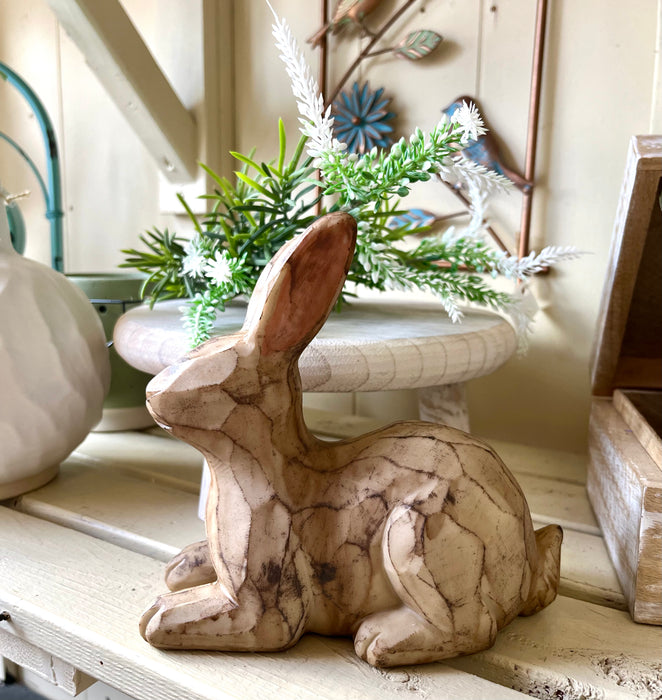 Rabbit
