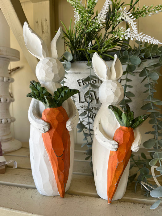 Rabbit