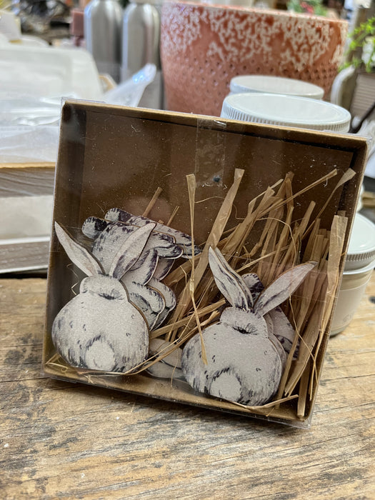 Rabbit
