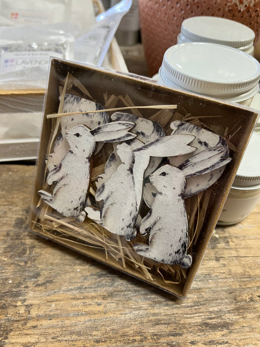 Rabbit